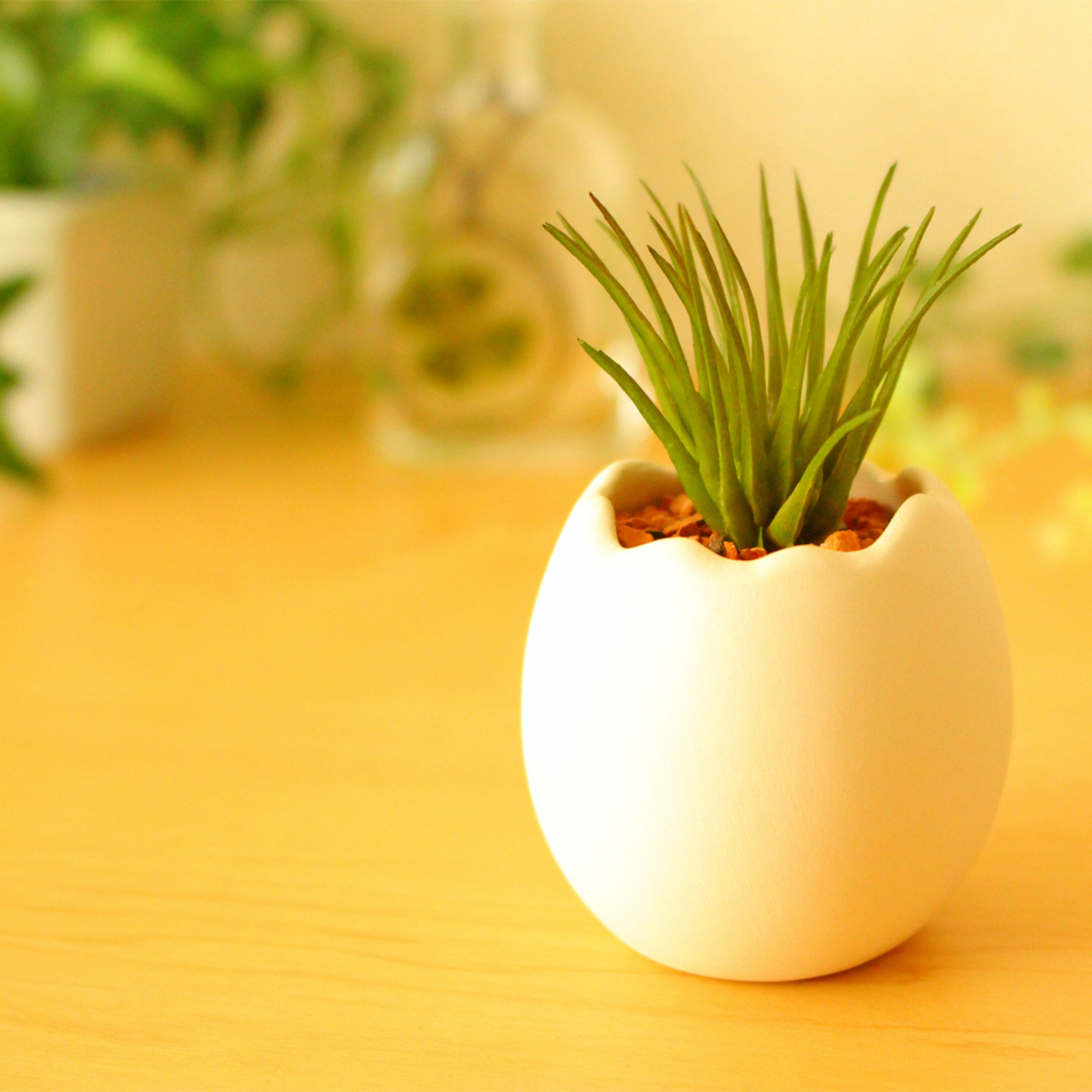 川崎市高津区末長、梶ケ谷駅近く、調剤薬局