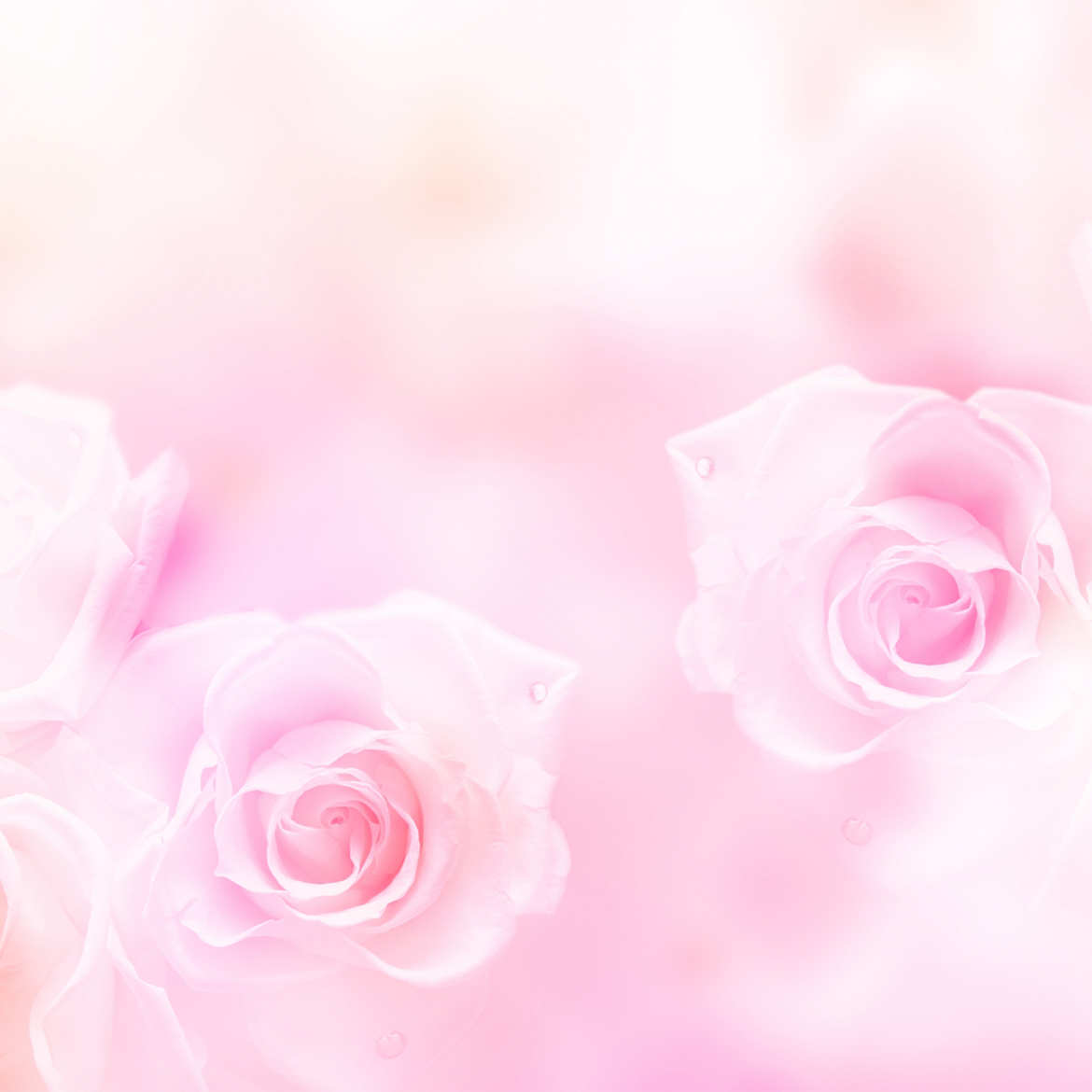 川崎市高津区末長、梶ケ谷駅近く、調剤薬局