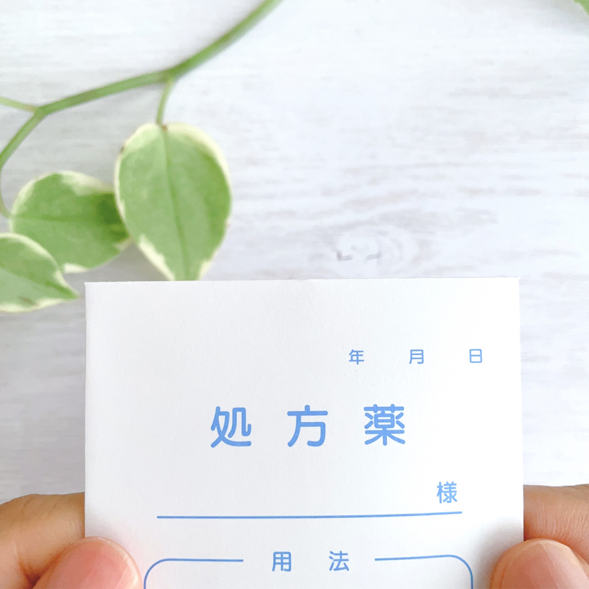 川崎市高津区末長、梶ケ谷駅近く、調剤薬局